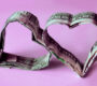 Two dollar bills folded into the shape of hearts